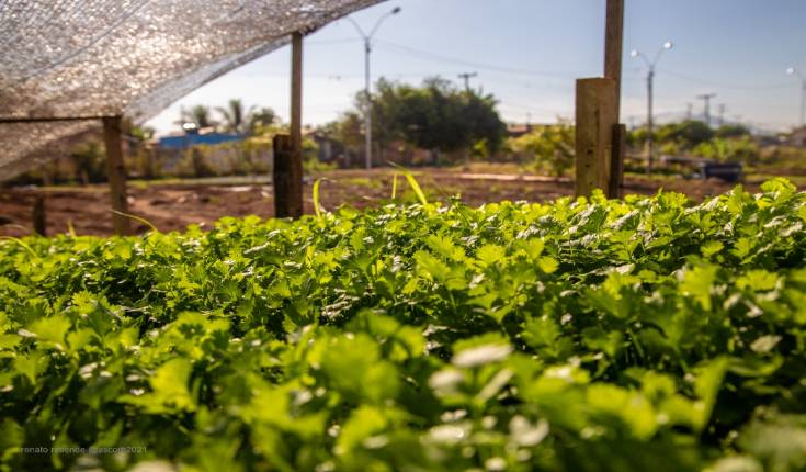 Fotos: Renato Rezende