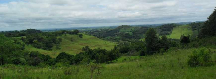 Polícia investiga denúncia de estupro coletivo contra indígena de 13 anos em aldeia no Pará