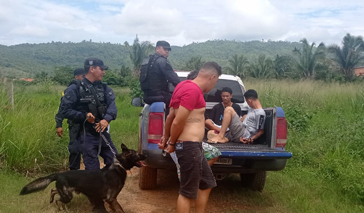 “K9” Cão farejador da Guarda Municipal flagra drogas escondida em madeiras e quadrilha é presa no Bairro dos Minérios