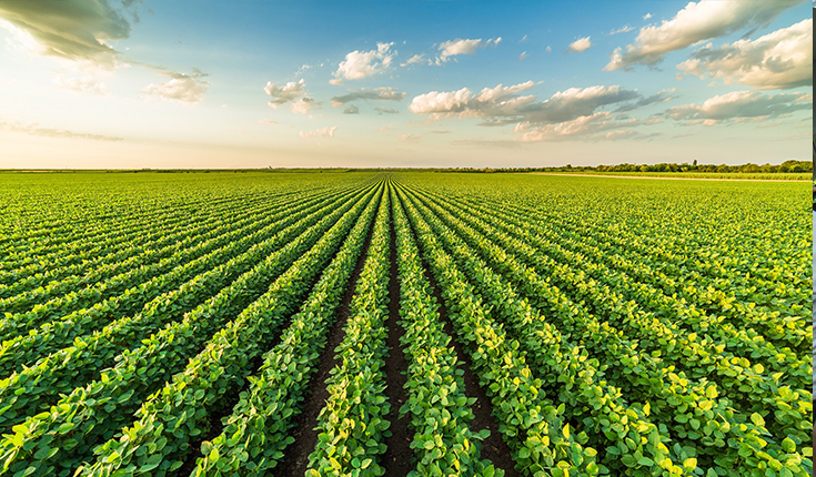 Estatísticas do setor de defensivos agrícolas sobre o 3º trimestre