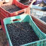 WhatsApp Image 2022-02-09 at 09