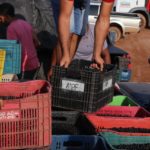 WhatsApp Image 2022-02-09 at 09