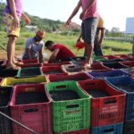 WhatsApp Image 2022-02-09 at 09