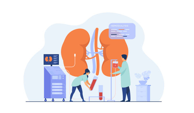 Entenda a importância da água no tratamento de doenças renais