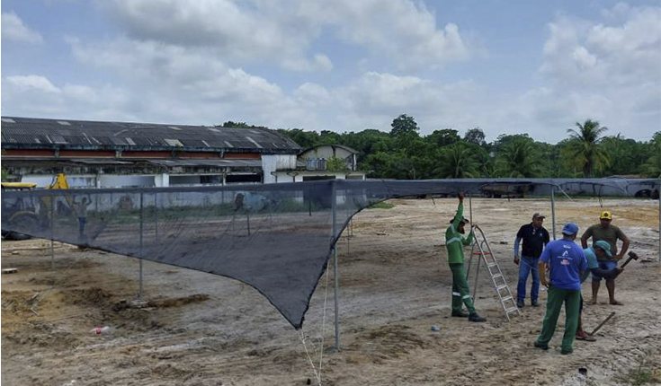 Ideflor-Bio instala viveiros de mudas agroflorestais em Mocajuba e Moju