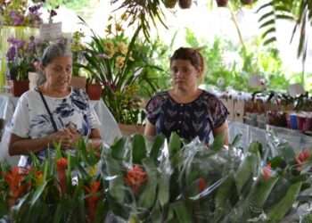 Parauapebas será palco de mais uma edição do tradicional Festival das Flores