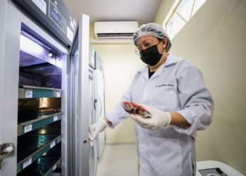 Em Belém, Hemopa deve iniciar testes de detecção da malária