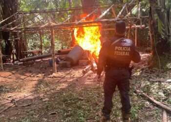 PF, IBAMA e ICMBio desmobilizam garimpos em Parauapebas