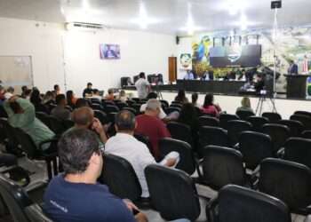 Topônimo da avenida “D”, no Ouro Preto e benfeitorias para o Bairro Vale do Canaã são as pautas da 9ª Sessão de 2023