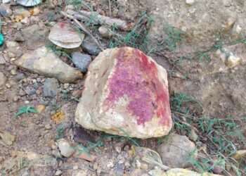 Polícia Civil de Parauapebas investiga Homicídio no bairro Bela Vista