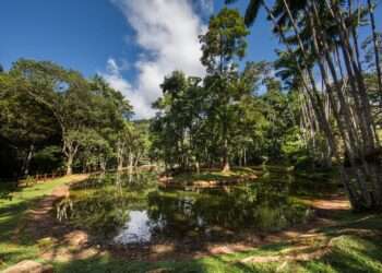 Casa da Cultura leva estudantes de Canaã dos Carajás ao BioParque Vale Amazônia