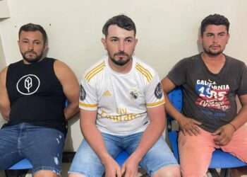 Homens são presos por crimes ambientais transportando madeira