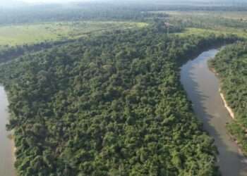 Pará: AgroSB fomenta desenvolvimento rural e preservação florestal no estado