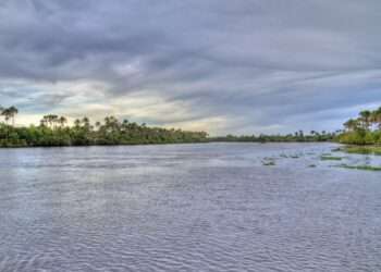 O que há, além de petróleo, na foz do Amazonas?