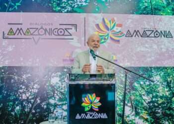 Pará: Países envolvidos na Cúpula da Amazônia divulgam “Carta das Florestas”