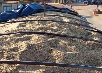 Dom Eliseu: SEFA apreende mais de 29 toneladas de gergelim no nordeste paraense.