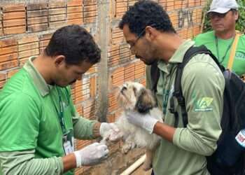 Parauapebas: Secretaria de Saúde orienta sobre encoleiramento de cães contra leishmaniose visceral