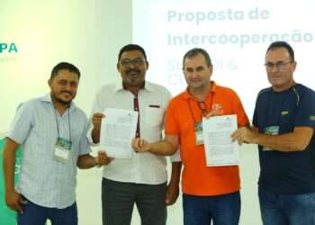 Parceria: Sicredi Sudoeste MT/PA e Sistema OCB/PA assinam termo de cooperação para o desenvolvimento de oficinas de Educação Financeira