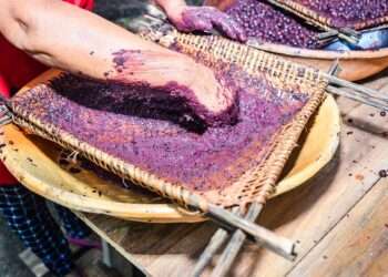 Amapá: 1º Festival do Açaí de Mazagão iniciará na sexta-feira, 10