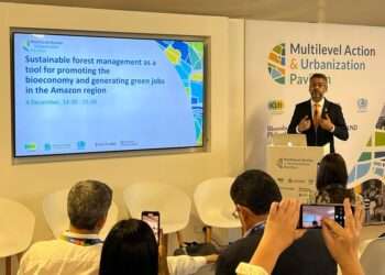 COP 28: Amapá apresenta manejo florestal sustentável como modelo de bioeconomia e geração de empregos na Amazônia