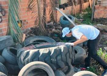 Amapá: Estado receberá R$ 607 mil do Ministério da Saúde para enfrentamento de doenças como dengue, chikungunya e zika