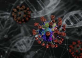 Pará: SESPA confirma 5 óbitos por Covid-19 em diferentes municípios no estado