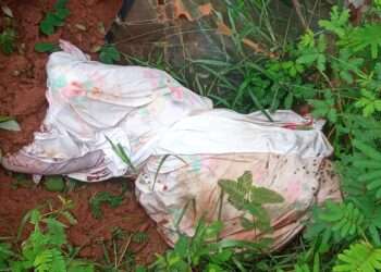 Parauapebas: Corpo de homem é encontrado em estado de decomposição no bairro Martine