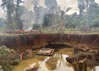 Parauapebas: Polícia Federal e ICMBio combatem crimes ambientais no Pará