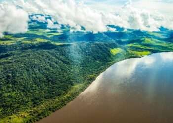 Pará: Na Suíça, Governador Helder Barbalho apresenta desafios e oportunidades da Amazônia ao Fórum Econômico Mundial