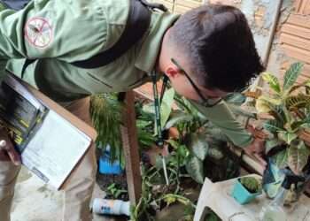 Parauapebas: Combate à dengue