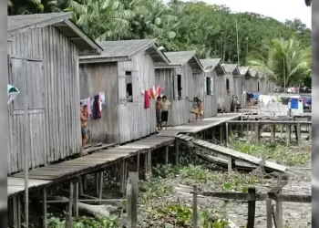 Pará: Denúncia sobre exploração infantil na Ilha de Marajó provoca indignação nacional