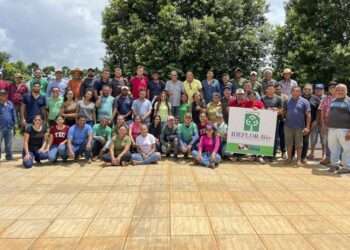 Canaã dos Carajás: Dirigentes do Ideflor-Bio capacitam técnicos em busca de uma nova matriz econômica para o município.