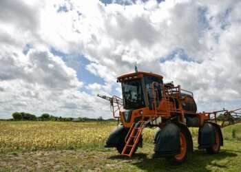 Amapá: Saiba como participar da consulta pública sobre a modernização da Lei de Defesa Agropecuária