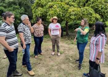 Pará: Ideflor-Bio reúne com extrativistas para fomentar desenvolvimento sustentável na Floresta Estadual do Trombetas