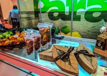 Nacional: Governo do Estado apóia participação de produtores do Pará no Festival Internacional de Salvador