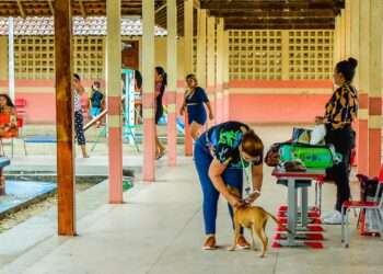Amapá: Governo do Amapá realiza campanha de vacinação para cães no Abril Laranja no Conjunto Macapaba, em Macapá