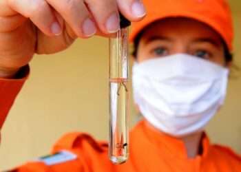 Nacional: Em 4 meses, Brasil tem mais que o dobro do número de casos prováveis de dengue de 2023