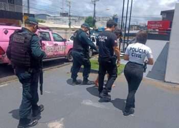 Pará: Operação integrada em combate à violência contra a mulher atende mais de 2 mil vítimas no estado