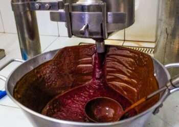 Pará: Nove municípios paraenses lideram produção nacional do açaí, aponta Fapespa