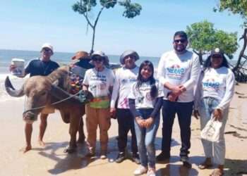 Prevenção: ADEPARÁ intensifica ações educativas sobre gripe aviária e consumo de produtos inspecionados nesse verão