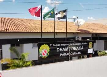 Estado destaca ações de enfrentamento a violência contra a Mulher e redução nos casos de feminicídio no Pará