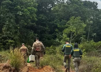 PF e IBAMA fecham garimpos ilegais e prendem uma pessoa durante operação no Maranhão