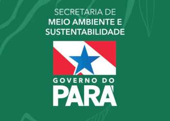 Oficinas de educação ambiental ensinam aproveitamento de materiais recicláveis.