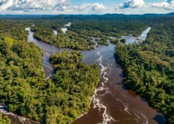 Em 2025, Pará será o Estado com a maior rede de monitoramento da qualidade da água na Amazônia