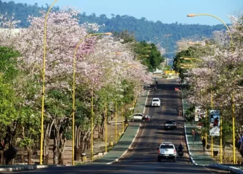 Parauapebas Declara Situação de Emergência por 180 dias.