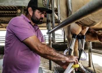 Programa estadual fortalece práticas de produção pecuária sustentável na agricultura familiar e comunidades tradicionais