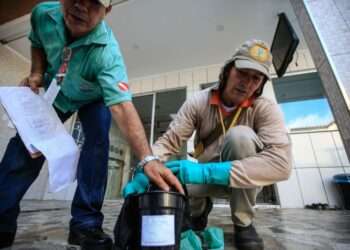 Casos de dengue caem quase 60% no Pará em janeiro de 2025