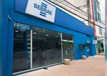 Legislativo de Parauapebas e Sebrae debatem ações para fortalecer os pequenos negócios do território