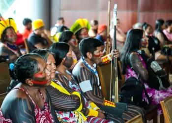 Mestrado em Educação Escolar Indígena está com inscrições abertas