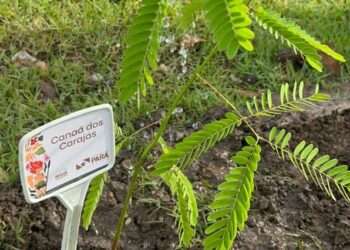Canaã participa do Lançamento do Pavilhão Pará e Bosque dos Municípios